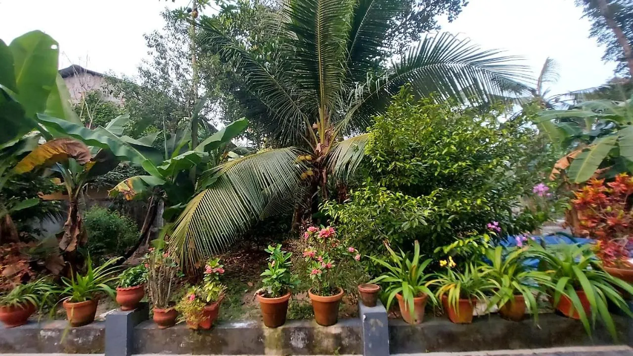 Grand Marari Bed & Breakfast Alappuzha India